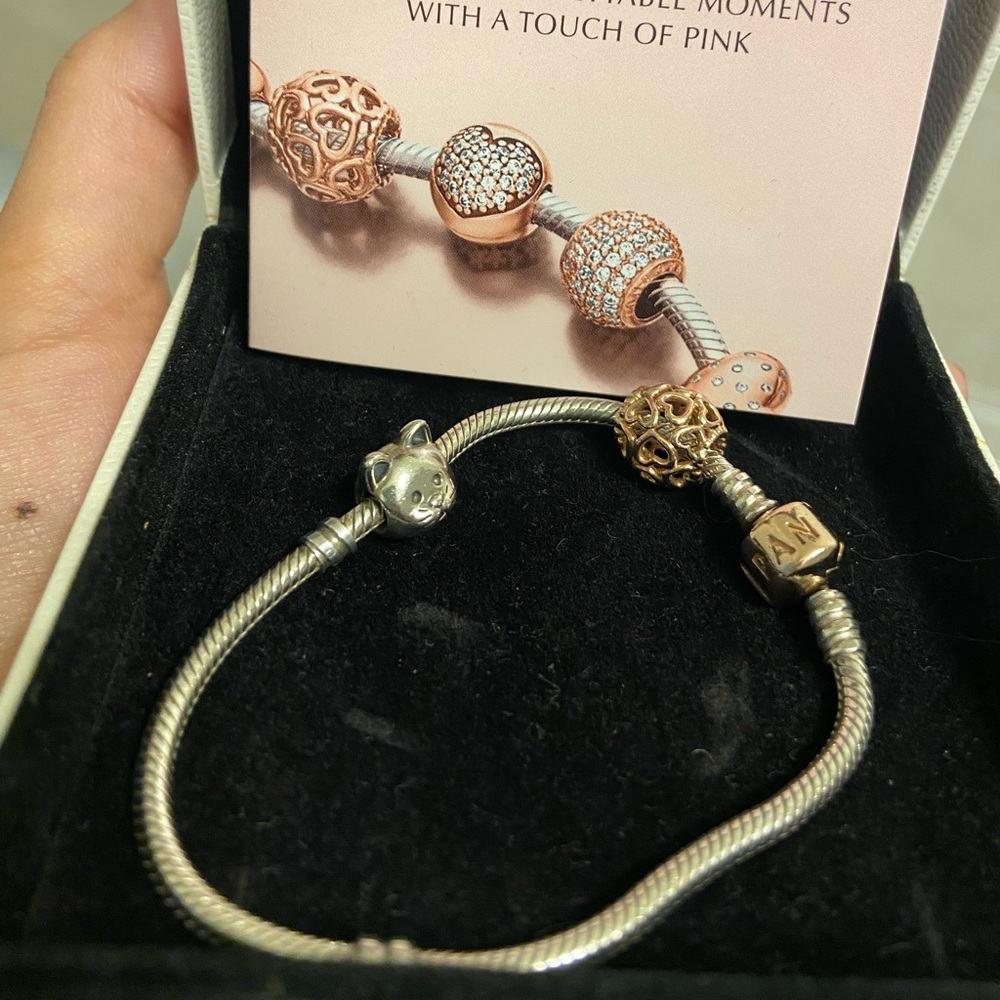 Pandora charm bracelet